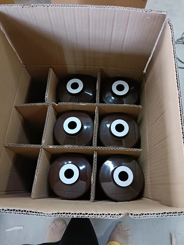 DIN Standard 1-630A Transformer Porcelain Bushing OEM Available
