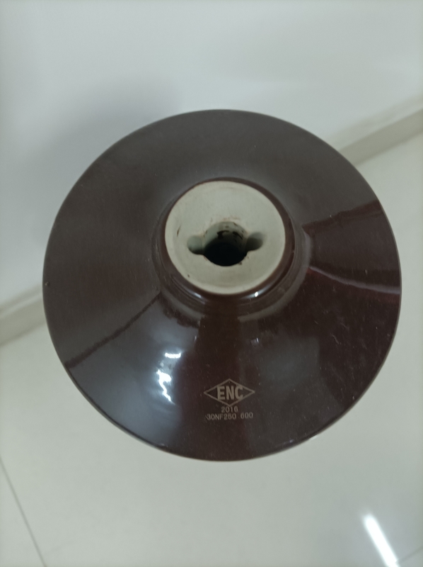 DIN42531 Standard 30NF250 Transformer Porcelain Bushing CD600MM